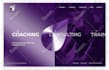 build, design or redesign wix, wordpress, webflow websites