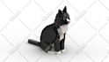 make your dog, cat, pet using lego bricks