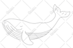 create vector line art for any product, logo 24 hours