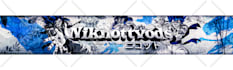 design an aesthetic anime banner for all platforms