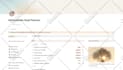 build notion template for your personal or professional life