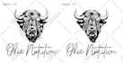 do vector trace, vector tracing, convert image to vector