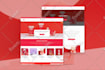 build a professional shopify dropshipping store