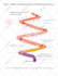 design medical, scientific illustration, figures, and diagrams