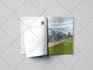 design a professional company brochure or business brochure