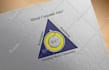 professional logo design unique high quality custom designs