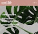 create a beautiful squarespace website