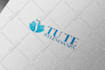 design high quality logo for your business or website