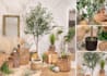 take beautiful and elegant photos of your product