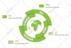create professional infographic design for you