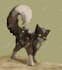draw your warrior cats