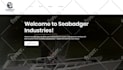 create a wix website, fix issues or redesign