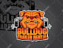 design cartoon and mascot logo design