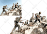 cut out 80 images, cut out background