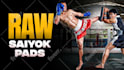 design youtube thumbnail for mma or ufc channel