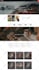design a professional shopify website and shopify store