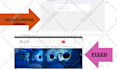 fix your wordpress errors or issues,bugs and add security