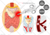 create a graphical abstract for your research article