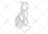 create amazing line art illustration for you