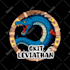 draw minecraft server store , buycraft icon