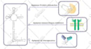 create scientific illustrations, diagrams, figures and graphical abstracts