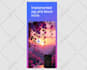 develop android , ios and web apps