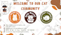 design exceptional charity, nonprofit, fundraising flyer, brochure or media kits