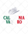 resize image and logo, vector, edit ,background removing,