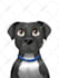 draw your pet portrait into disney style for your gift