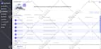 develop a custom website and web application
