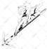 draw a cool black and white anime manga style