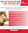 be creative flyer, poster design and all the graphics work