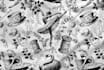 create awesome seamless pattern for print fabric textile