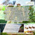 do any professional graphic design