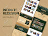 create wordpress website and landing pages