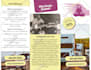design your professional flyer or brochure