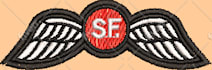 do modern and complex embroidery design in source of dst