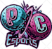make premium mascot esport gaming youtube discord logo