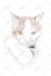 draw digital scribble pet portrait