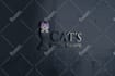 design professional company or business logo