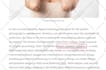 provide high da guest post service seo dofollow backlinks