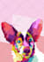 draw a photo of your pet in wpap pop art in less than 1 day