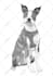 draw scribble art vector portrait