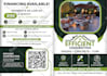 create modern trifold brochure design in 24 hours