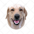 make vector illustration dog cat animal pet cartoon portrait