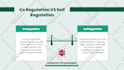 design professional powerpoint presentation and modern PPT slide