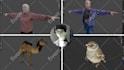 create 3d character modeling, rigging, and 3d animation