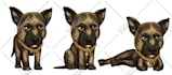 create a cartoon character for you