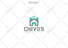 design high quality geometric logo design