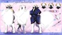 draw your furry reference sheet
